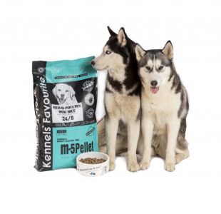 Kennels' Favourite m-5 za studena lisované, 15 kg